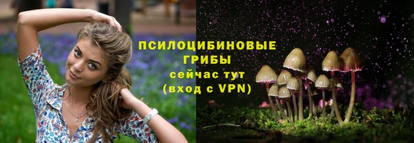а пвп мука Бронницы