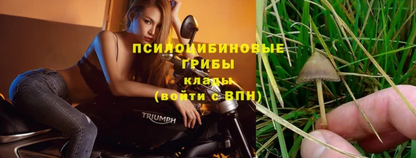 а пвп мука Бронницы